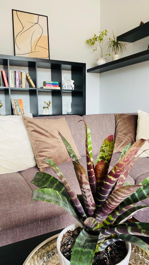 Apartment Mira Rużomberk Zewnętrze zdjęcie